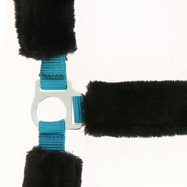 Cabeçada Norton com forro completo de lã sintética Azul elétrico / preto