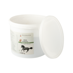 Suplemento mineral para cavalos Mega Mineral Waldhausen