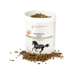 Suplemento de magnésio para cavalos – Waldhausen