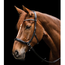 Bridão sem embocadura Sensation Waldhausen X-Line Preto