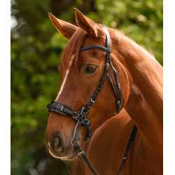 Bridão hackamore Waldhausen X-Line Preto Bridão hackamore Waldhausen X-Line Preto