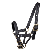 Cabresto Waldhausen para alpaca Preto