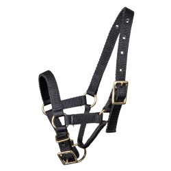 Cabresto Waldhausen para alpaca Preto