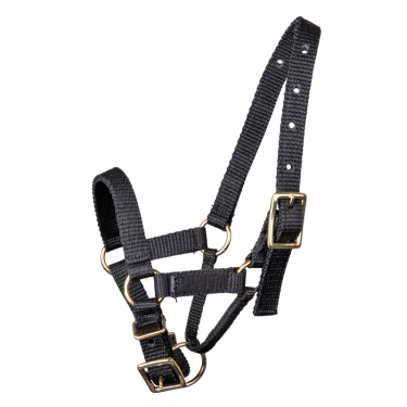 Cabresto Waldhausen para alpaca Preto