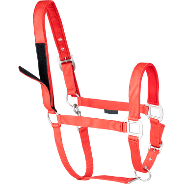 Cabresto de segurança Waldhausen Vermelho