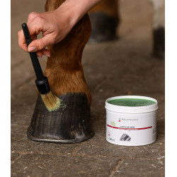 Graxa para cascos Waldhausen 500 ml Verde Graxa para cascos Waldhausen 500 ml Verde