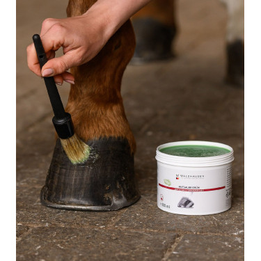 Graxa para cascos Waldhausen 500 ml Verde Graxa para cascos Waldhausen 500 ml Verde