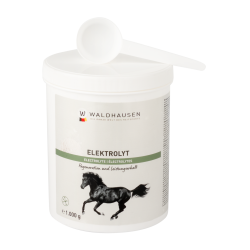 Suplemento de Eletrólitos para Cavalos Waldhausen