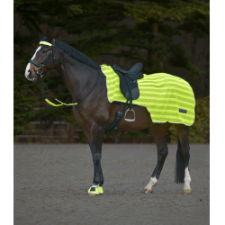 Cobre-rins Waldhausen Reflex Neon amarelo