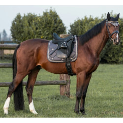 Almofada de Selim Dressage Night Collection Back On Track Cinzento