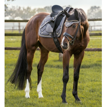 Almofada de Selim Dressage Night Collection Back On Track Cinzento