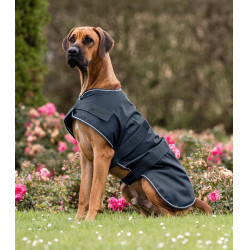 Capa de chuva Waldhausen para cão Azul-marinho