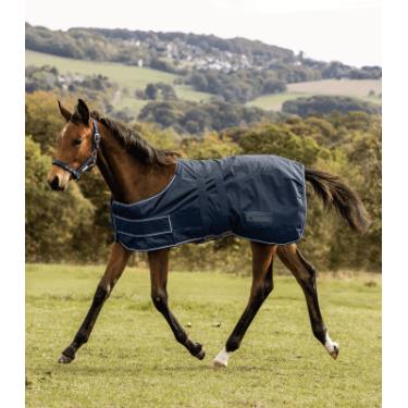 Capa de chuva Waldhausen Comfort para potro Azul noturno