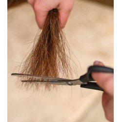 Tesoura Waldhausen para crina e cauda easy cut Preto Tesoura Waldhausen para crina e cauda easy cut Preto