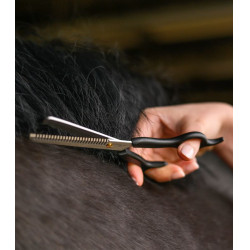 Tesoura de picotar Waldhausen Preto
