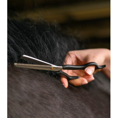 Tesoura de picotar Waldhausen Preto