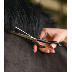 Tesoura de picotar Waldhausen Preto