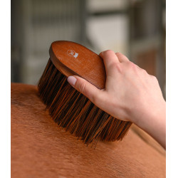 Escova para pó Waldhausen HardWood Natureza Bege Escova para pó Waldhausen HardWood Natureza Bege