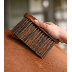 Escova para pó Waldhausen HardWood Natureza Bege Escova para pó Waldhausen HardWood Natureza Bege