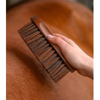 Escova Waldhausen para crina e cauda HarWood Natureza Bege