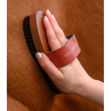 Escova de limpeza equestre cerdas naturais Waldhausen