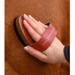 Escova de limpeza equestre cerdas naturais Waldhausen