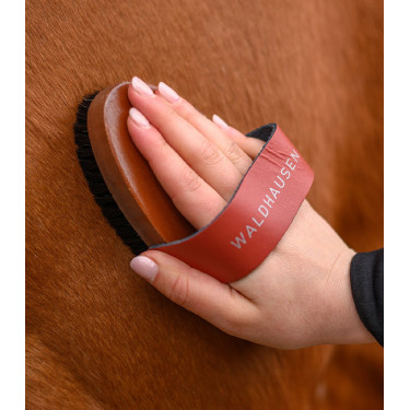 Escova de limpeza equestre cerdas naturais Waldhausen