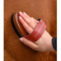 Escova de limpeza equestre cerdas naturais Waldhausen