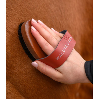Escova de limpeza equestre cerdas naturais Waldhausen