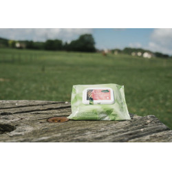 Easy Shine Wipe Ravene Toalhetes de limpeza Easy Shine Wipe Ravene Toalhetes de limpeza
