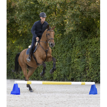 Bloco de obstáculo Cavaletti Waldhausen Azul Bloco de obstáculo Cavaletti Waldhausen Azul