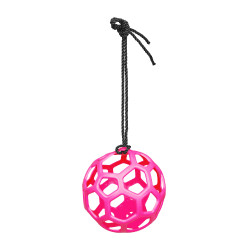 Bola de feno Waldhausen Rosa Bola de feno Waldhausen Rosa