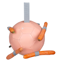 Bola Waldhausen para cenouras Linnea rosa