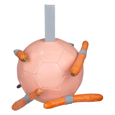 Bola Waldhausen para cenouras Linnea rosa