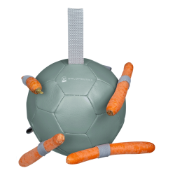 Bola Waldhausen para cenouras Rédea Verde