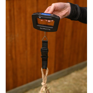 Balança digital manual Waldhausen Preto Balança digital manual Waldhausen Preto