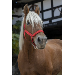 Cabresto Norton Pro para cavalo de tração Cabresto Norton Pro para cavalo de tração