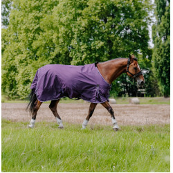 Capa Equithème Tyrex Aisance 600D Ameixa Violeta Capa Equithème Tyrex Aisance 600D Ameixa Violeta