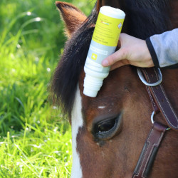 Repelente para Cavalos com Escova LPC Espace