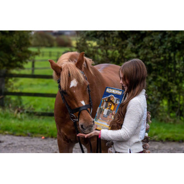 Calendário do Advento Stud Muffins para cavalos