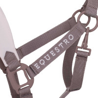 Caveção técnico com dupla regulação e fivelas revestidas em borracha Equestro Galhada / violeta feltro
