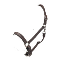 Caveção LeMieux pespontado Hunter Havana Castanho Caveção LeMieux pespontado Hunter Havana Castanho