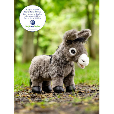 Mini Pônei LeMieux Donkey Daphne Donkey daphne Branco Mini Pônei LeMieux Donkey Daphne Donkey daphne Branco