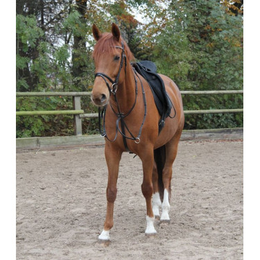 Martingale Estrela Preto