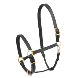 Cabresto de couro para equitação Star Robust