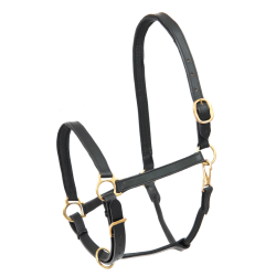 Cabresto de couro para equitação Star Robust