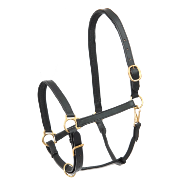 Cabresto de couro para equitação Star Robust