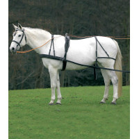 Arnês Star simples Econômico de cob a cavalo grande Preto