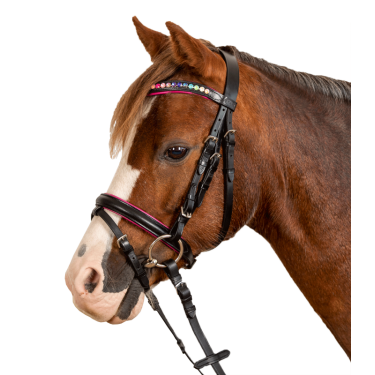 Bridon Star Pinky Preto Bridon Star Pinky Preto