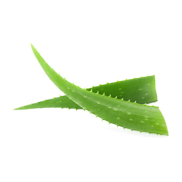 Spray de Aloe Vera para Cavalos 2,5L | Waldhausen